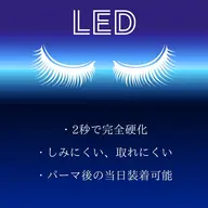 ♡LEDダブルフラットラッシュ♡(オフ有60束/オフなし70束) 【¥6500】