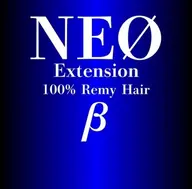 【100%人毛よりも良い毛質◎】100%人毛レミーヘアシールエクステ40枚