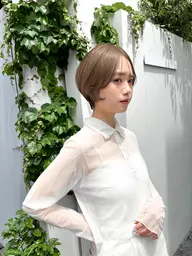 カット、カラー、トリートメント、シャンプー、ブロー