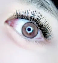 🦋バインドラッシュ80束(160本)🦋