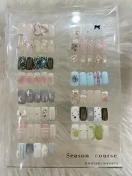 オフなし Seasonコース