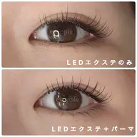 【当日限定！】フラット100本＋LEDに変更