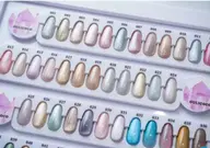 【チップ長さだし】マグネット/フラッシュ/ミラーネイルワンカラー　¥8990