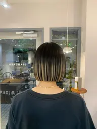 🌻ダブルカラーモデル🌻