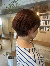 《お手軽メンテ🪞》◾︎カット (シャンプーブロー込み)