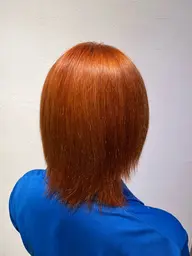 【ダブルカラー】肩まで