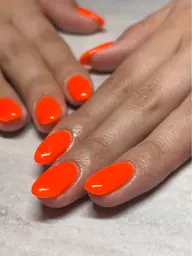 【オフなし】1カラー or 2カラー