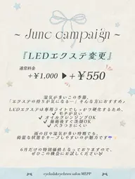 【6月限定☔️】LEDエクステ100本