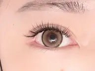 バインドロック80束