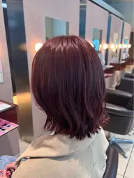 カット+ワンメイクカラー