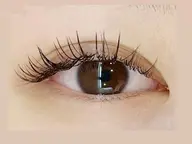 4月限定!!【初回】フラットラッシュ🌹オフ込み🌹120本🌹