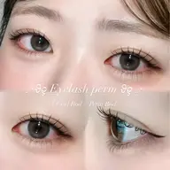 【Jrアイリスト🌸】上下まつ毛パーマ🦢(目元撮影📸/口コミ可能な方限定) ★お仕上げコーティング付き★