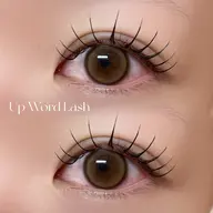 【熱でパッチリ🦩】アップワードラッシュ100.120本🗼