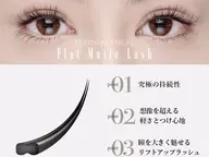 フラットラッシュ100本