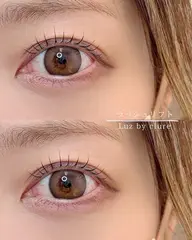 ラッシュリフト (コーティング仕上げ付き)