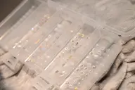 【体質サポート】耳つぼジュエリー