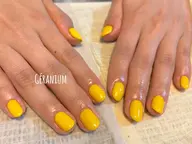 【ハンドネイル】ワンカラー🎨