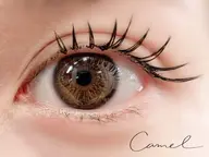 💎バインドロック💎120束【カウンセリング込】