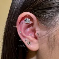 耳つぼジュエリー👂🏻⟡.·premium16粒