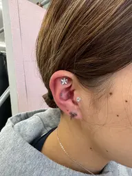 耳つぼジュエリー10粒(片耳へ5粒ずつ)