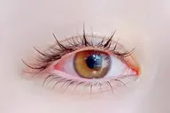 【1か月以内再来】本数選べる★フラット/ワンホン+アップワード40/60/80本