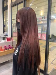 ワンカラー（白髪染め可）