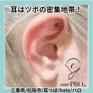 耳つぼジュエリー「ダイエット」