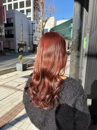 ブリーチなしダブルカラー