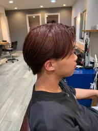 ワンカラー+トリートメント