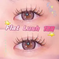 【60分⏱】フラットラッシュ120本 🐾