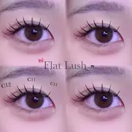 【お試し価格🎀🖤】LEDマツエク100本✨オフ+550円(美容コーティング仕上げ🌟⋆꙳)