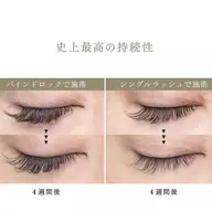 【オフ無料】次世代バインドロック 80束★コーティング剤付