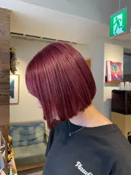 ［ハイトーンのベース作り］１ブリーチ全頭