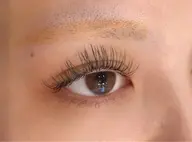 🎄🎄パリエクバインドログ100束11980、120束12980、140束13980オフ+550円ニ回目+1000