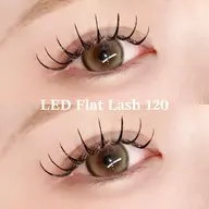 【モチ抜群◎】オフあり🙆🏻LEDフラットラッシュ120本💛ご新規様 ¥5900/再来様 ¥7230