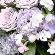 🪅ダブルフラットラッシュ👻🍬80束🍭オフ無料/オフなし,付け足し可