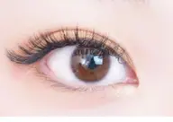 ⭐️持続力No.1!バインドロック80束(240本使用)⭐️