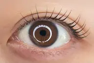 【初回限定】ケラチンラッシュリフト(上まつ毛)¥4900★