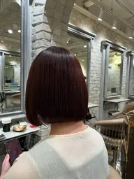 レディースヘアカット💇♀️ショート〜ボブスタイル✨