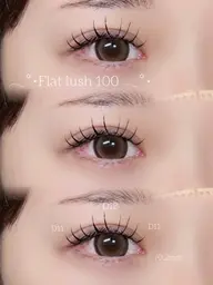 【minimo限定‼️】フラットラッシュ80本​〜​100本