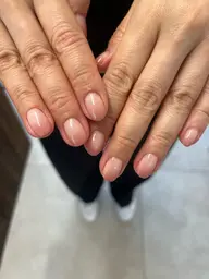 グラデーション(クリアベース)🌱‬‪