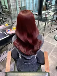 🐩ワンカラー + TOKIOトリートメント