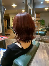 オススメ‼️【期間限定】カラー+4ステップトリートメント