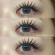 【バインドロック】140束(コーティング付)