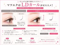 💖今だけ💖LDカール限定!【オフ無しor有り】フラットラッシュ120本