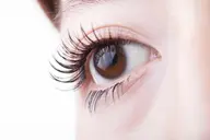 【遠藤専用】上下まつ毛パーマ