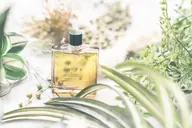 【初回限定★うるおい美髪】カット+髪質改善トリートメント+ルネフルトレール4Stepスパ(30分)