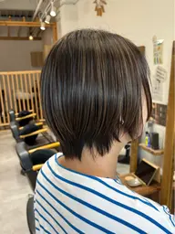 ハイライト(ホイル12枚まで)