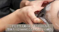 【4周年記念・3/26〜5/2】カット+ヘッドスパ20分&2stepTRケア