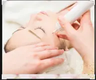 ホワイトコルギ